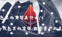 tt p钱包里的薄饼是什么